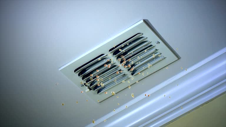 Best Best Air Duct Cleaning Company  in Little Canada, MN