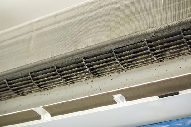 Best Affordable Air Duct Cleaning  in Little Canada, MN